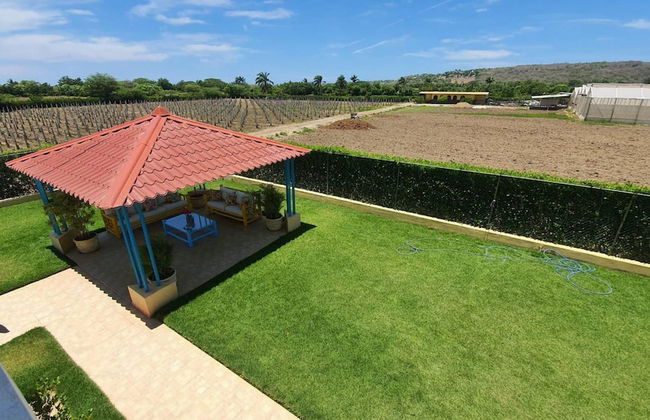 Amazing House at La Isabela - Photo 10