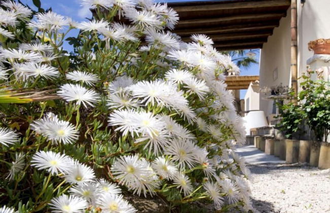 Agriturismo Don Carlo - Foto 28