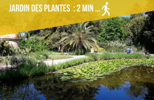 ALMA F2 hypercentre 1min cathédrale saint Pierre 3 min Tram Charme ancien & confort moderne Netflix - Foto 22