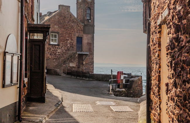 Blue Monkey - Foto 40