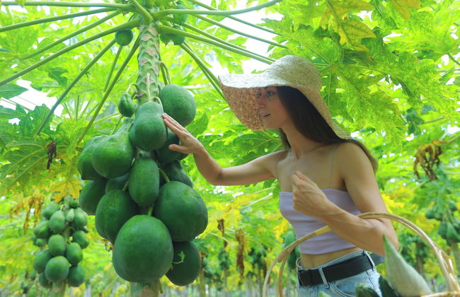 Club Mango - Photo 28