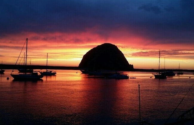 Gray's Inn & Gallery - Foto 21