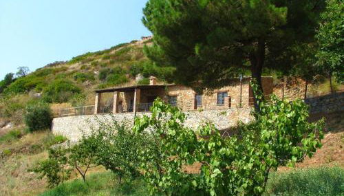 Pet-friendly Farmhouse - Photo 3