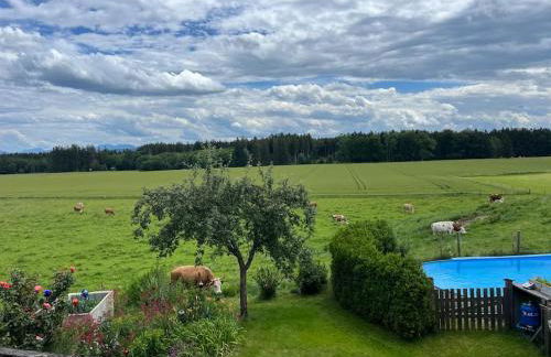Ferienwohnung am Bauernhof - Foto 9