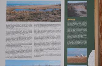 Bordo Mare - Foto 23