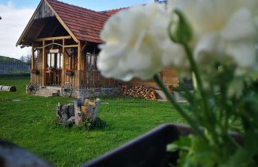 Naša mala koliba - Foto 43