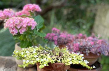 Two charming flats near Notting Hill - Foto 34