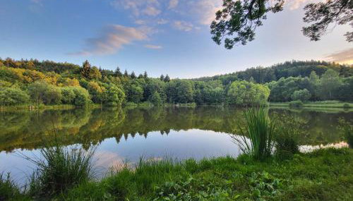Cisza i Las - Dom na wyłączność, Prywatny Las, 2 pokoje, Polanica Zdrój - Foto 2
