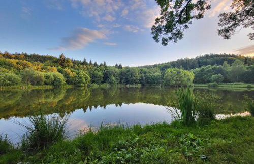 Cisza i Las - Dom na wyłączność, Prywatny Las, 2 pokoje, Polanica Zdrój - Foto 2