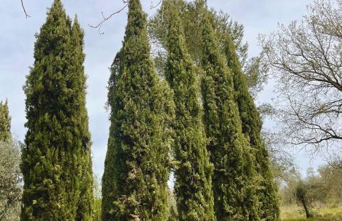 Agriturismo, Casa Borgo - Foto 47