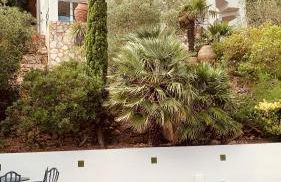 Villa El Casot - Foto 44