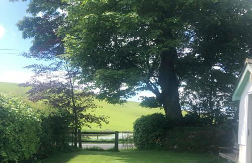 Llynhillyn Cottage - Foto 17