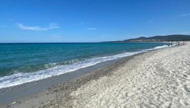 Green House - Foto 2