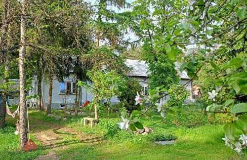 Augustówka - letnisko na Wrzosowiskach - Foto 4