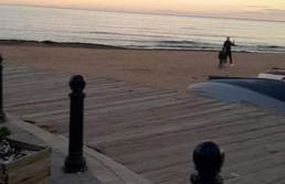 Sol de mar, La Mata (Hiszpania) - Foto 41