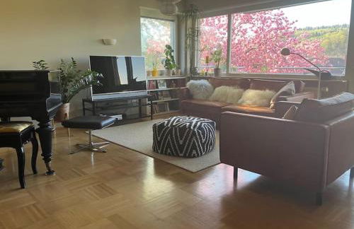 Großzügige Wohnung mit Flair und Aussicht - Foto 1