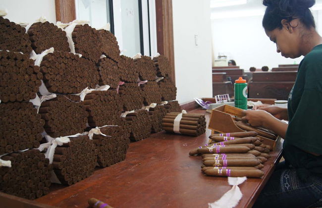 Visita a la fábrica de cigarros Graycliff Cigar Company - Foto 2