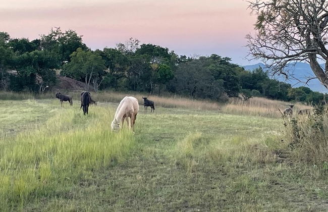 AtNature Luxury Self Catering Cottages - Photo 26