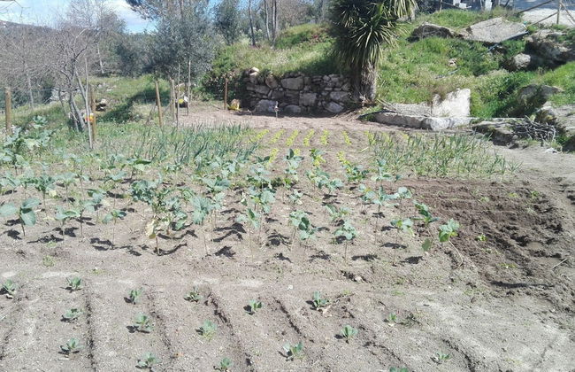 I Love Dão - Casas Da Fraga - Foto 51