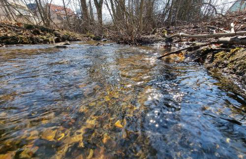Ferienwohnung Dietel - Foto 33