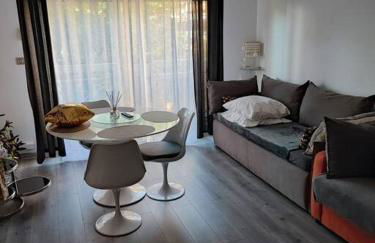 Studio 31 m² - Foto 12