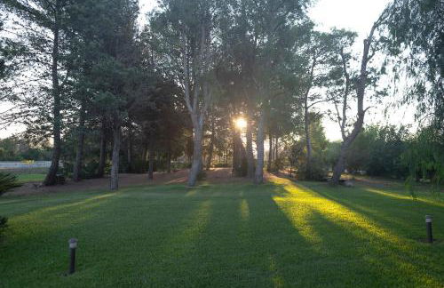 Olive Garden House - Foto 23