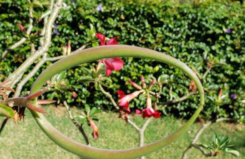 Yolanda Family House - Foto 33