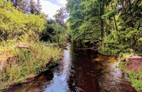 Domek Smerfna Chatka - Foto 13