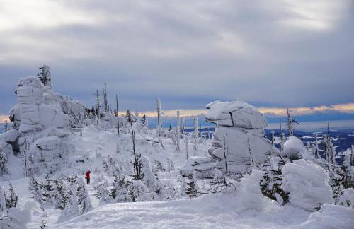 Ferienwohnungen Pichler - Foto 17
