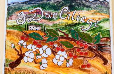 I Due Ciliegi - Foto 2