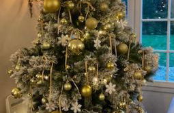 maison d'hôtes ed.André 10 personnes - Foto 43