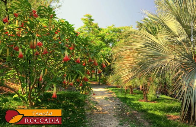 Tenuta di Roccadia - Foto 25