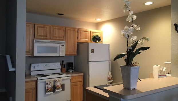 Servizio in camera - Ristorazione