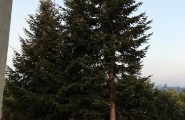 Peaceful cottage with incredible panoramic view - Foto 37