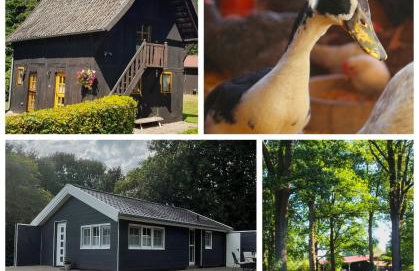 Hof von Felde - Foto 1