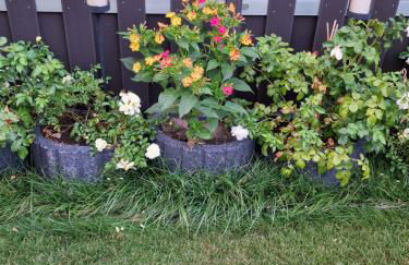 Haus im Grünen - Foto 13