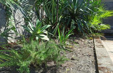 Casa Volcanalia - Foto 14