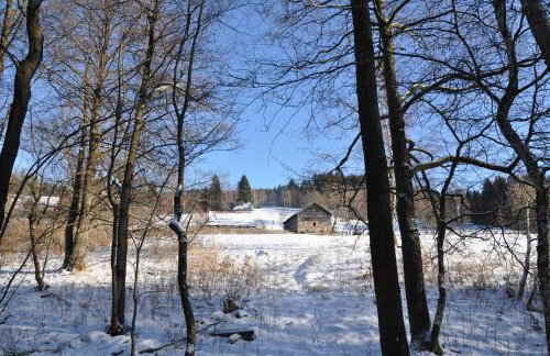 Chata nad Dziką Orlicą z jacuzzi - Foto 61