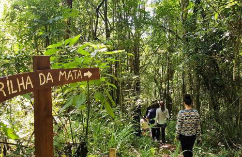 Chalé Ametista na Amarte perto do Templo Budista - Foto 16