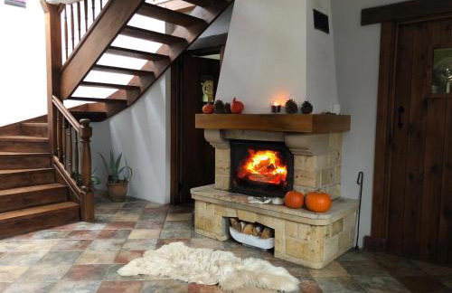 Leśna Willa - Foto 12