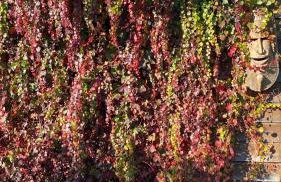 Casa Pratolungo - Foto 12