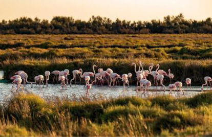Un Nid en Provence, Jardin, 2P - Foto 31