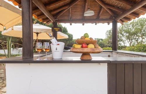 Monte do Papa Leguas - Foto 19