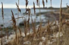 Fewo Großenbrode 2 Schlafzimmer - Foto 7