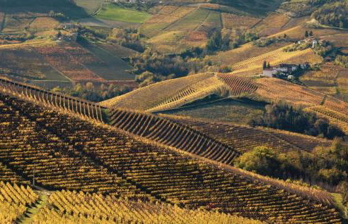 Nice Home In Marsaglia Cn With Jacuzzi - Foto 45