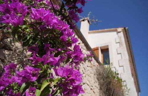 Finca la Querida - Foto 52