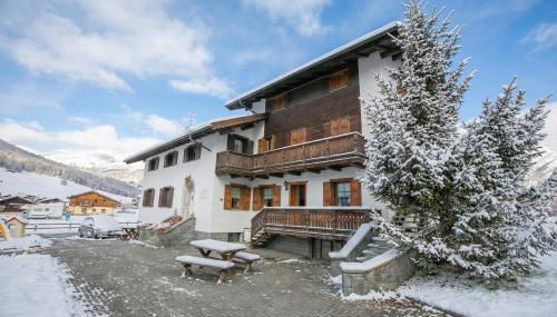 Rododendro - Foto 4, Other