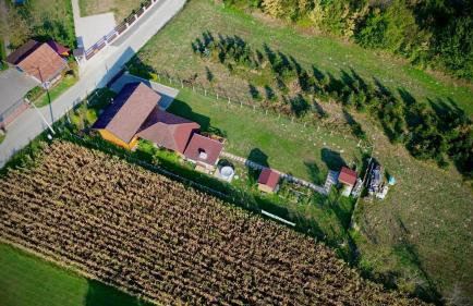 DRiM Wood House - no party house - Foto 37