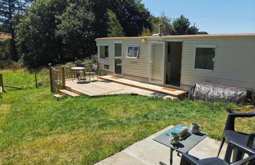 Meadow Bluebird - Foto 1