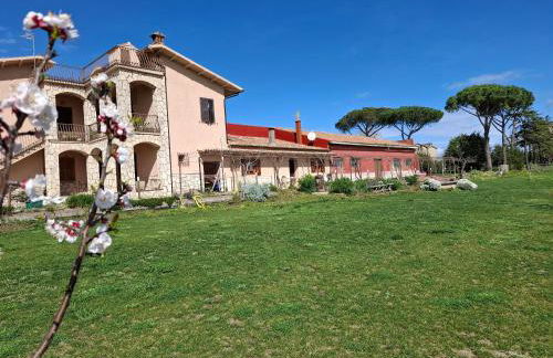 Podere Muracciolo - Foto 28